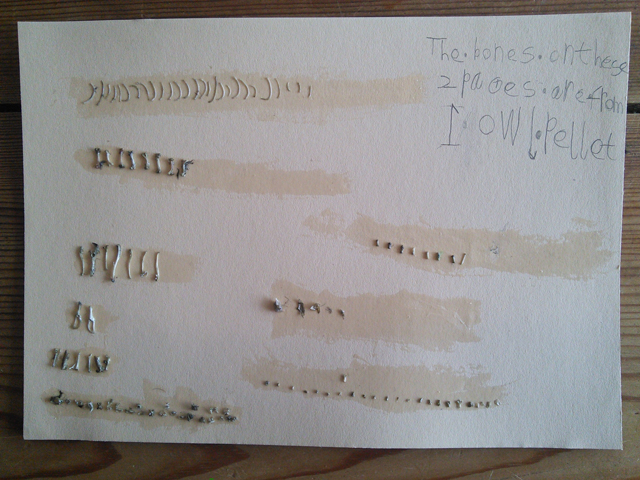 bones2
