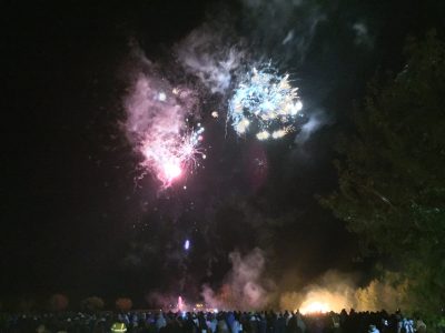 Alford Bonfire Fireworks