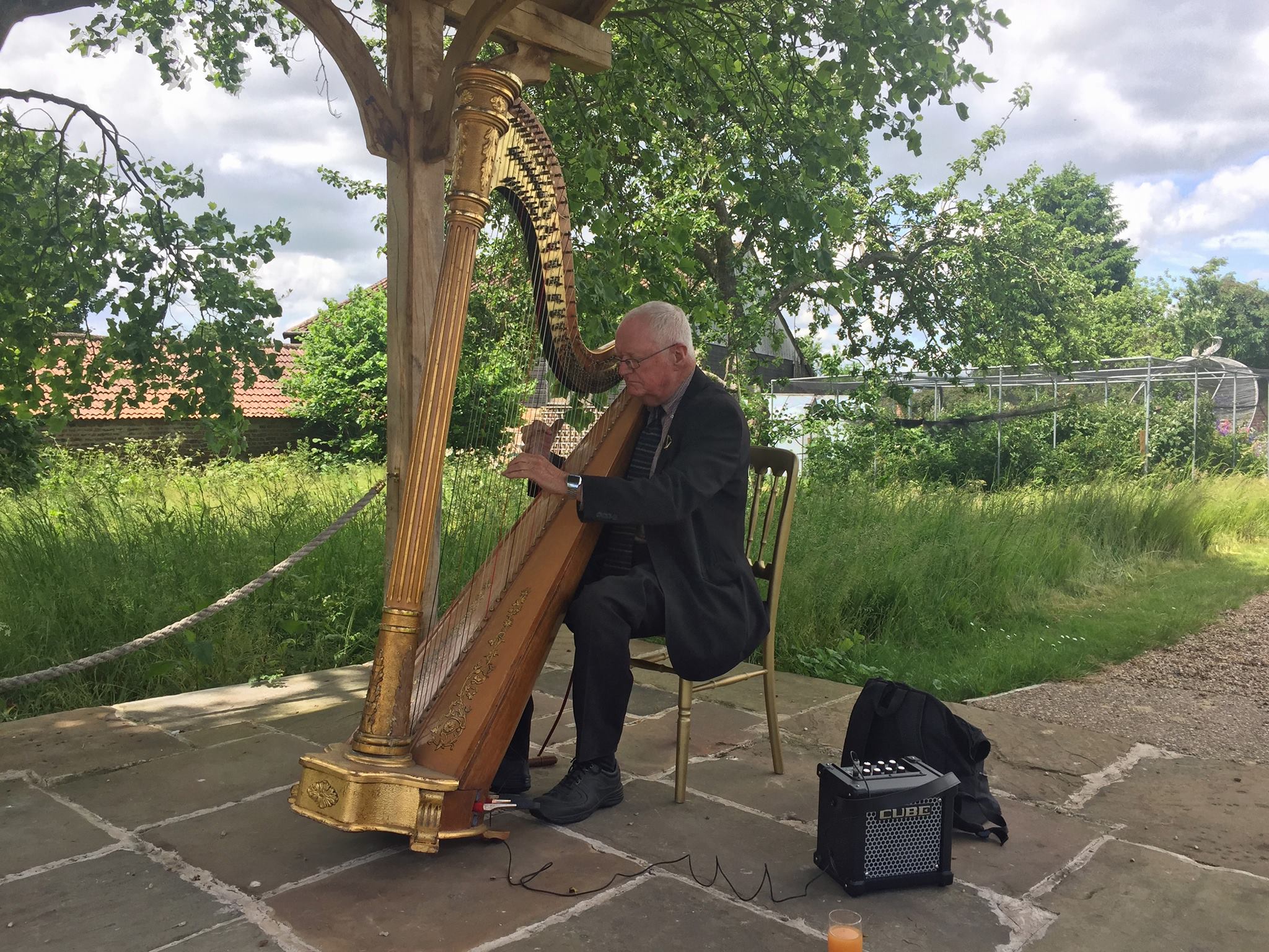 Harpist John Pacey