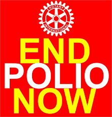 Ned Polio Now Logo