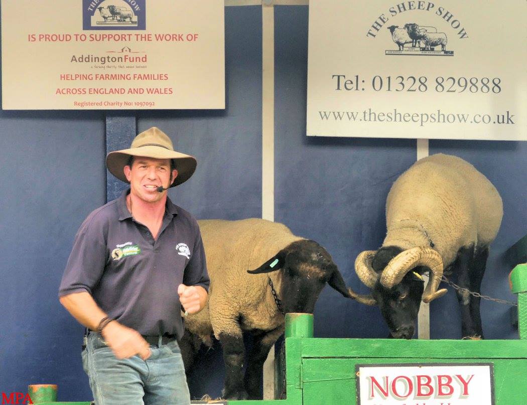 The Sheep Show